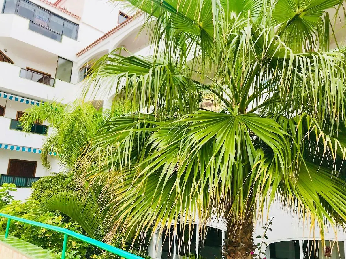 Atlantic View - Quiet, Peaceful And Windless Apt With Fantastic Ocean View Costa Del Silencio 0*,